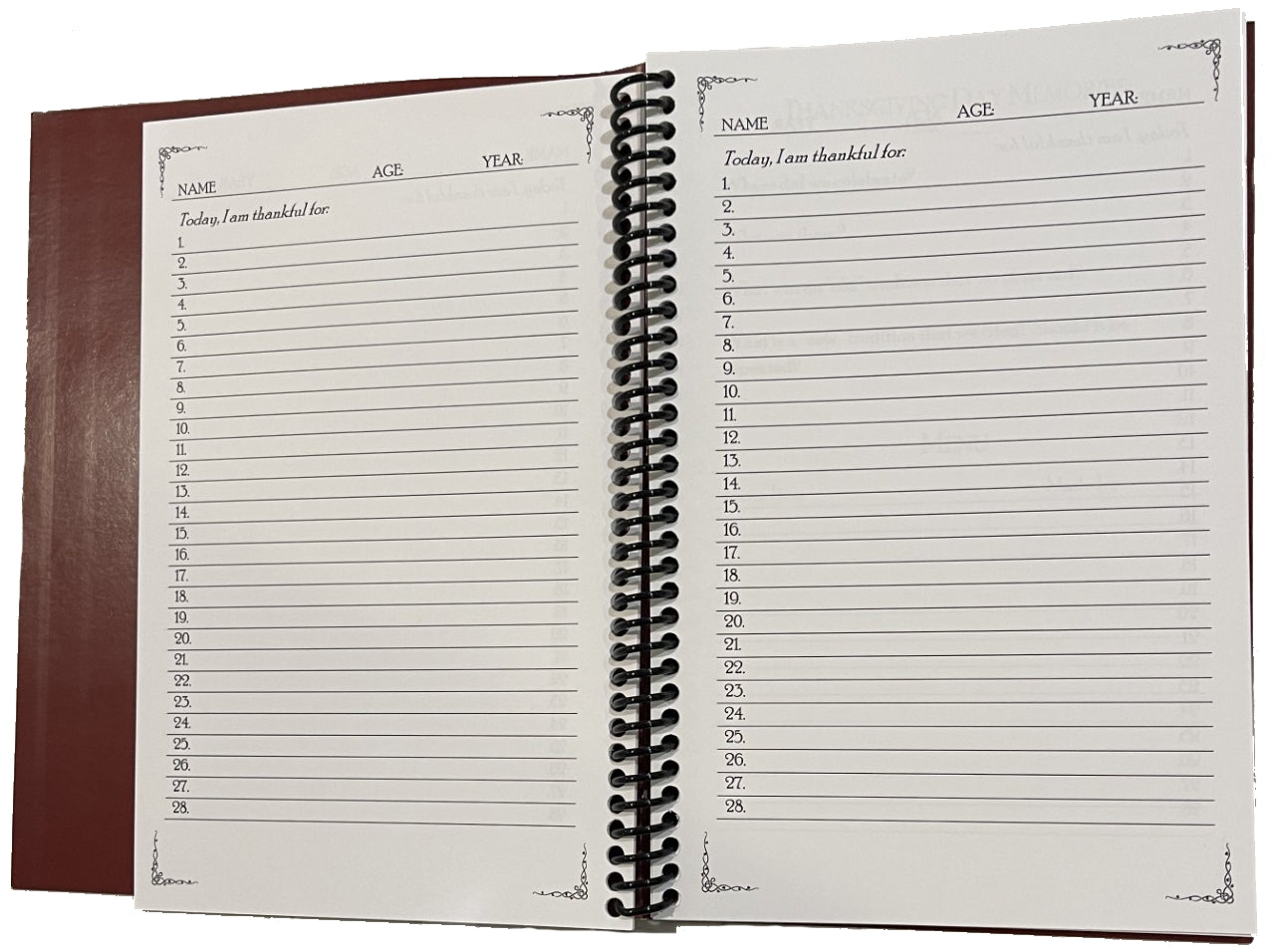 Old Homeschool Mom - Thankful Journal